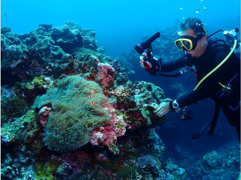 【沖縄・石垣島】1日コース水中写真に特化3ボートFUNダイビング・ウミガメ、マンタに会える海で遊び尽くす！の紹介画像