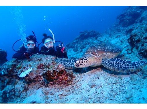 学生割引！OWライセンス講習２日間 in 石垣島【ウミガメ、マンタに会えるかも！】高画質の写真・動画無料プレゼントの画像