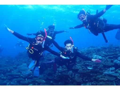 学生割引！AOWライセンス講習２日間 in 石垣島【ウミガメ、マンタに会えるかも！】高画質の写真・動画無料プレゼントの画像