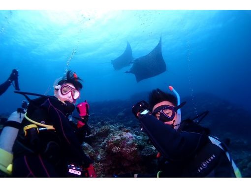 学生割引！AOWライセンス講習２日間 in 石垣島【ウミガメ、マンタに会えるかも！】高画質の写真・動画無料プレゼントの画像