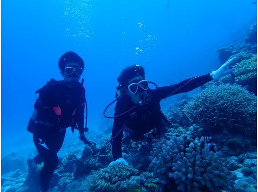 【沖縄・北部】 ボート体験ダイビング〜2ダイブ (水納島／瀬底島／崎本部エリア）の画像