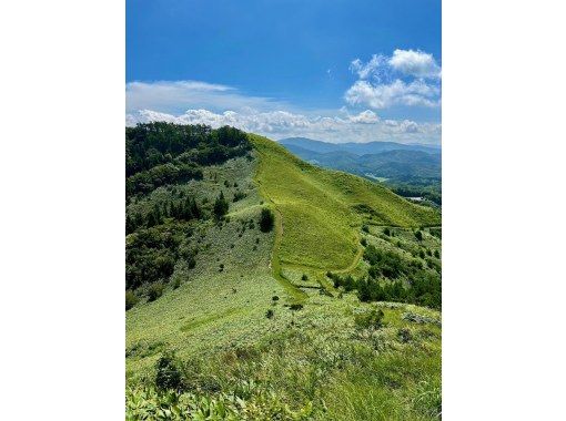 Spend a Day With a Monk: Hiking and Outdoor Matcha in Hiroshimaの画像