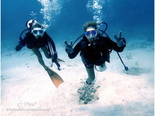 【沖縄・北部】 ボートファンダイビング〜2ダイブ (水納島／瀬底島／崎本部エリア）の画像