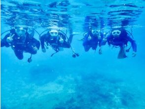 [Okinawa, Northern] Diving course (open water)