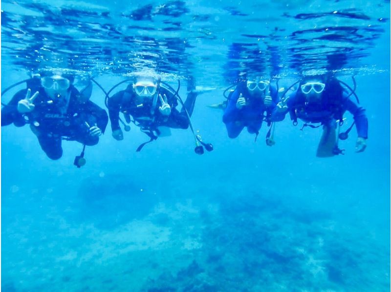 [Okinawa, Northern] Diving course (open water)の紹介画像