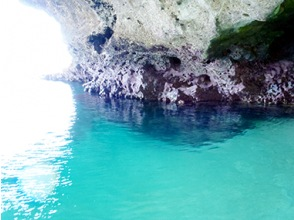 [Okinawa, Ishigaki Island] Blue Cave Sea Turtle Walking Tour + Wakeboarding 1-day course (lunch included!)