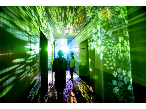 [Minakami, Gunma] Experience a night walk with fantastic light art and musicの画像