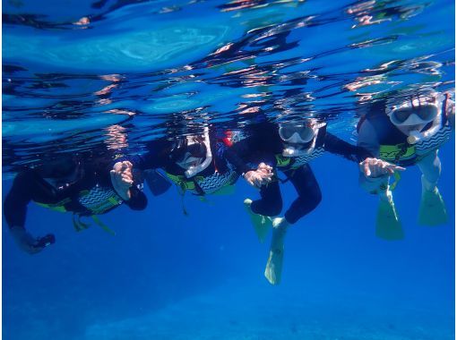 Beach snorkelingの画像