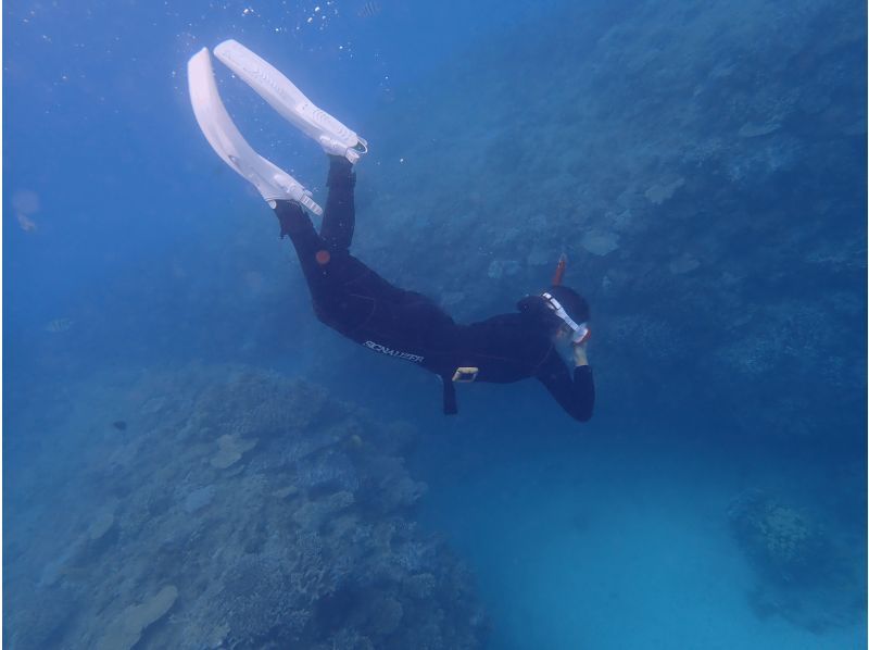 Boat, beach, skin diving, skin divingの紹介画像