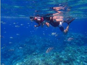 [You can also snorkel on the Okinawa Marina Cruise on the main island of Okinawa] A comfortable salon cruise with a small number of people and air-conditioned rooms like a hotel on board