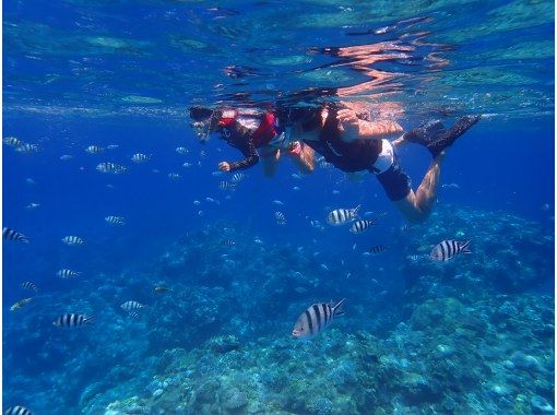 [You can also snorkel on the Okinawa Marina Cruise on the main island of Okinawa] A comfortable salon cruise with a small number of people and air-conditioned rooms like a hotel on boardの画像