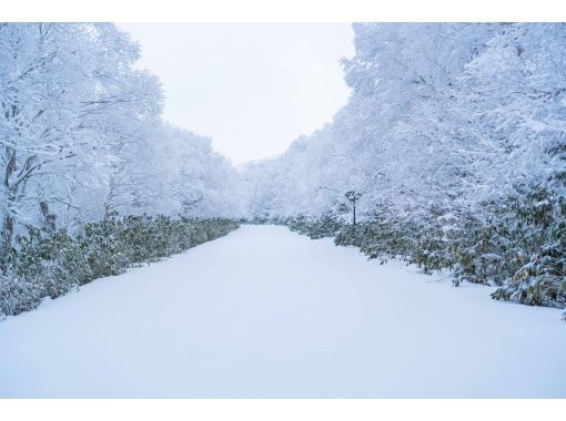 Half-day snowshoe tour to Orofure Passの画像