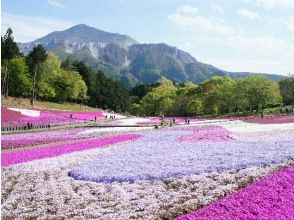 特急Laviewでらくらく移動！羊山公園芝桜観賞＆秩父神社参拝ツアー～秩父のとれたて食材をつかった御膳のお食事付き【029029‐1117】