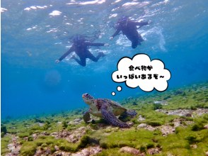 [Miyakojima / Private tour for 1 group] VIP sea turtle snorkeling! 100% chance of encountering turtles★ Ages 1 and up OK♪ A tour that caters to our guests! We will give you a gift of carefully selected photo data♪