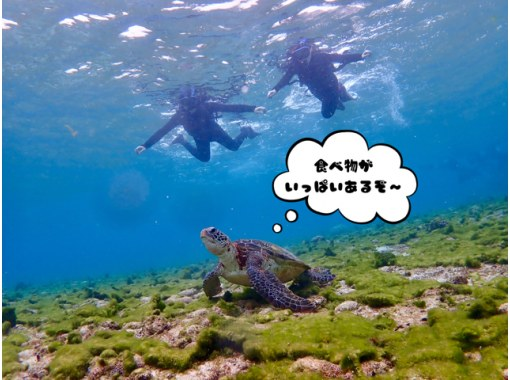 [Miyakojima / Private tour for 1 group] VIP sea turtle snorkeling! 100% chance of encountering turtles★ Ages 1 and up OK♪ A tour that caters to our guests! We will give you a gift of carefully selected photo data♪の画像