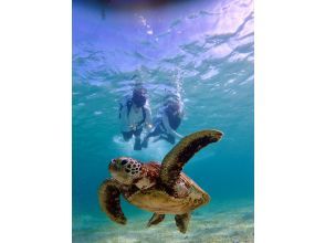 [Miyakojima / Private tour for 1 group] VIP sea turtle snorkeling! 100% chance of encountering turtles ★ Lowest price and high quality for private tours ♪ Carefully selected photo data as a gift ♪