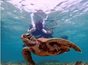 [Miyakojima / Private tour for 1 group] VIP sea turtle snorkeling! 100% chance of encountering turtles ★ Lowest price and high quality for private tours ♪ Carefully selected photo data as a gift ♪