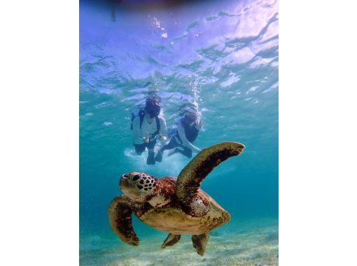 [Miyakojima / Private tour for 1 group] VIP sea turtle snorkeling! 100% chance of encountering turtles ★ Lowest price and high quality for private tours ♪ Carefully selected photo data as a gift ♪の画像