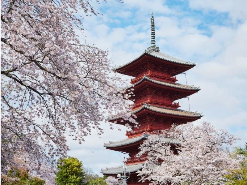 年に１度！池上本門寺「五重塔 特別開帳」と春まつり 桜が美しい厳選寺社めぐりバスツアー【029029‐1115】の紹介画像