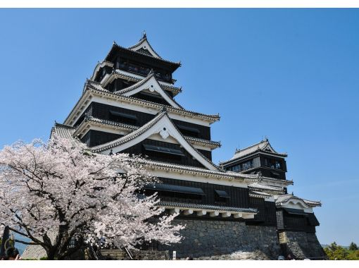 SALE! [Kyushu/Kumamoto] Customized 9-hour day trip in a hire car with a private driverの画像