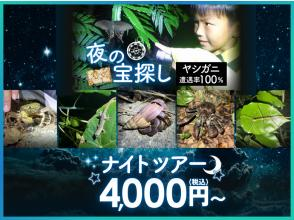 【子どもと一緒に宝探し！】遭遇率100％のヤシガニ発見ナイトツアー｜星空観察＆撮影付き【宮古島】