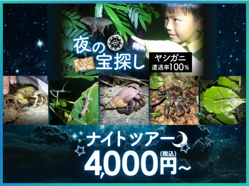 【子どもと一緒に宝探し！】遭遇率100％のヤシガニ発見ナイトツアー｜星空観察＆撮影付き【宮古島】の画像