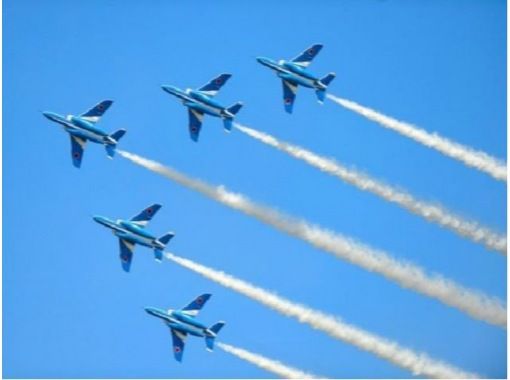 ≪11月3日限定≫ブルーインパルス飛行の大迫力航空ショー！航空自衛隊入間航空祭2025バスツアー～軽食付き～【029029-1317】の画像