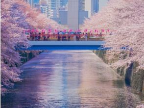 桜の庭園・高輪桜まつり＆目黒川桜のトンネル＆しだれ桜めぐりバスツアー～グランドプリンスホテル高輪にてランチ【029029‐1035】