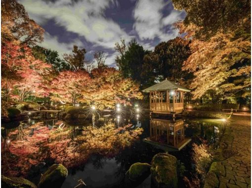 大田黒公園紅葉ライトアップ＆重要文化財「光華」特別公開と紅葉めぐりバスツアー ～明治記念館「羽衣」にてお刺身御膳付き【029029‐915】の画像