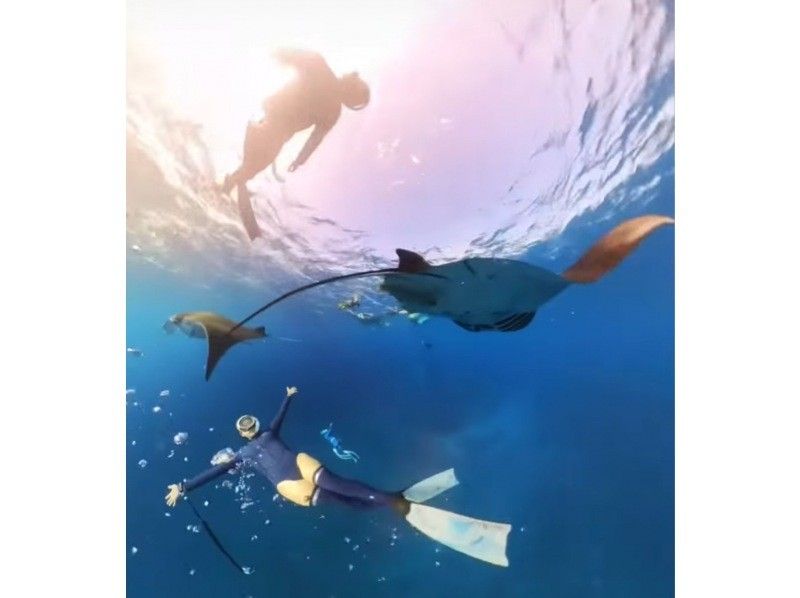 [Ishigaki Island] Skin diving and snorkeling with Manta Raysの紹介画像
