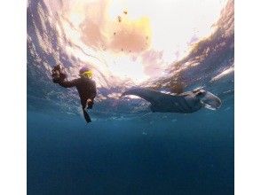 [Ishigaki Island] Skin diving and snorkeling with Manta Rays