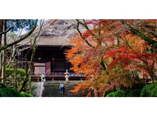 【滋賀・大津】11月16日(土)開催！「生誕100年記念 人間国宝 志村ふくみ展」と大津の歴史探訪 ～国宝拝観と秋の精進料理を楽しむ一日～の画像