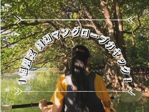 【石垣島/2時間】人気のツアーを貸切に！宮良川マングローブカヤック♪干潟散策もできちゃう♪【撮影付き】