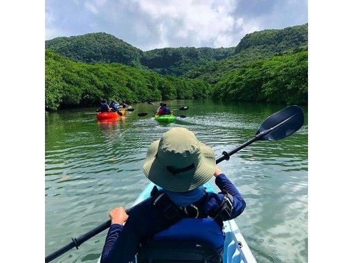 [冲绳/西表岛]“库拉瀑布”红树林独木舟和徒步旅行（由布岛水牛免费接送/早上缓慢出发）の画像