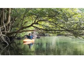 Yakushima river kayak ebis