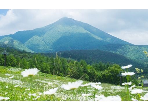 【日帰り】豊平峡・ふきだし公園 日帰り紅葉ツアー（札幌発）の画像