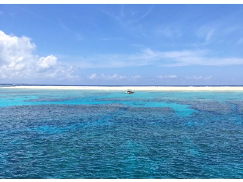 [Okinawa, Kerama] Enjoy the sea in the Chibishi area of the Kerama Islands! Boat FUN Diving (C-card holders)の紹介画像