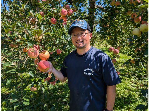 【山形・朝日】山形屈指のりんごの産地！朝日町「和合のりんご狩り」無料入浴付き♪ファミリーやカップルにおすすめ♪の画像