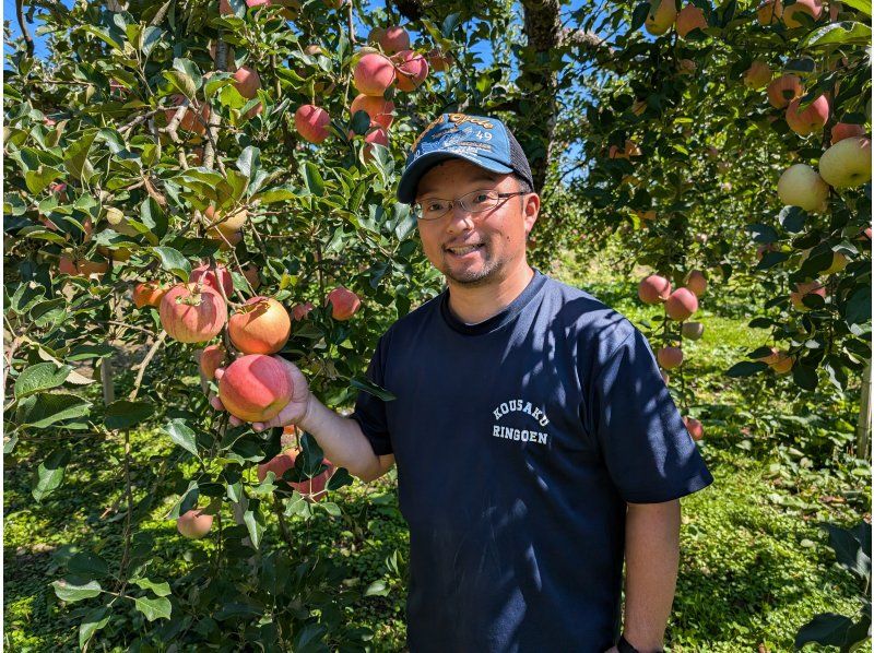 [山形/朝日]山形领先的苹果产区！旭町“和果苹果采摘”包含免费入浴♪推荐给家庭或情侣♪の紹介画像