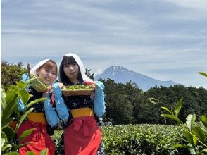 【静岡・富士】お茶摘み体験・茶畑散歩・茶工場見学！