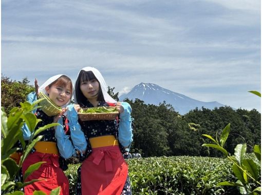 【静岡・富士】お茶摘み体験・茶畑散歩・パノラマビュー(sakuraiseichalivecamera検索)おいしいお茶とお菓子でお茶会 【静岡・富士】お茶摘み体験・茶畑散歩・パノラマビュー(sakuraiseichalivecamera検索)おいしいお茶とお菓子でお茶会