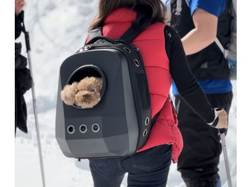 [Niigata/Yuzawa] Enjoy a casual snowshoeing experience at NASPA Ski Garden!の画像