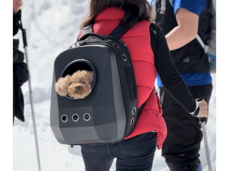 [Niigata/Yuzawa] Enjoy a casual snowshoeing experience at NASPA Ski Garden!の紹介画像