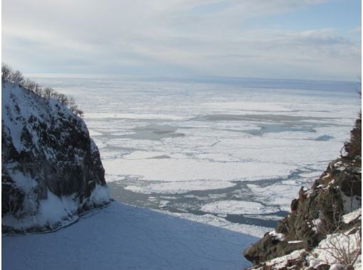 [Hokkaido, Shiretoko] Primeval forest snowshoe tour. Snowshoeing through the World Natural Heritage Site in midwinter and wildlife watching tour (free rental of skiwear, etc.)の画像