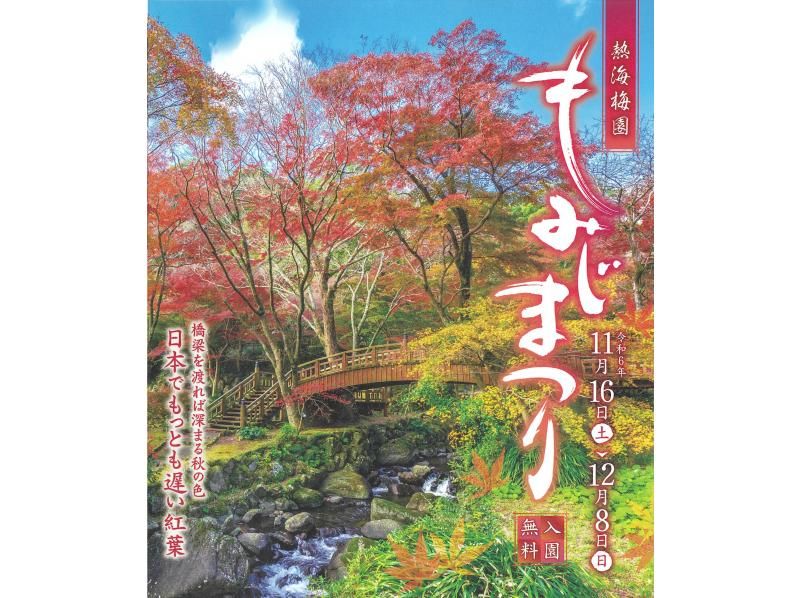 [Shizuoka, Atami] A dream collaboration of the latest autumn leaves and early-blooming plum blossoms in Japan! Easily explore the hilly Atami Plum Garden in a folding electric cart!の紹介画像