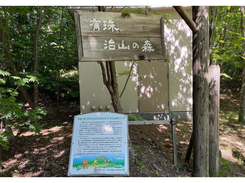 【北海道・伊達市】有珠トレイルを歩いて変動する大地を体感しよう！の紹介画像