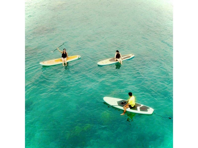 【奄美大島】【当日予約OK！】【SUP】【シーカヤック】【120分】海からしか行けないコウトリ浜へSUPで上陸？！？！☆撮影データプレゼントの紹介画像