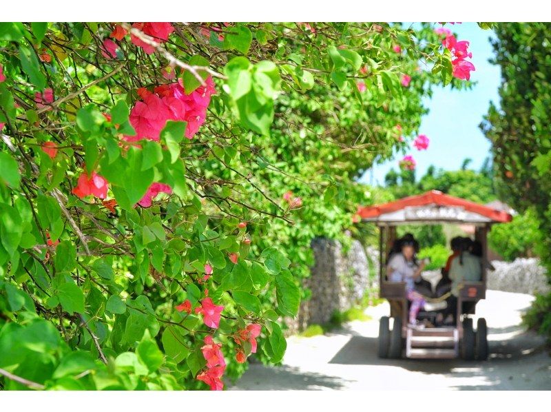 【沖縄・石垣島or竹富島発】1組貸切フォトツアー！沖縄の原風景が残る「竹富島」でオリジナルフォト♪【♪穴場ポイント満載プラン♪】の紹介画像