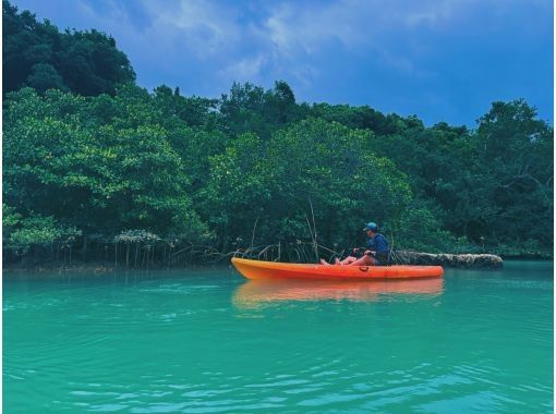 [Unexplored tropical forest bathing] Mangrove jungle kayak tour! Tour time is 1 hour! Small group size for peace of mind! Beginners welcome! Photos taken during the tour! Free data presentationの画像