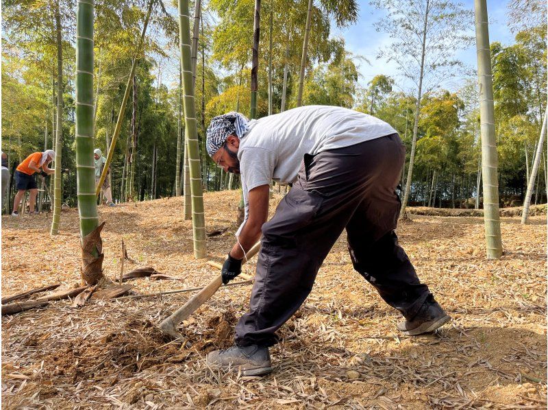 京都・西山】春限定！京たけのこの名産地で農家直伝のたけのこ掘り体験